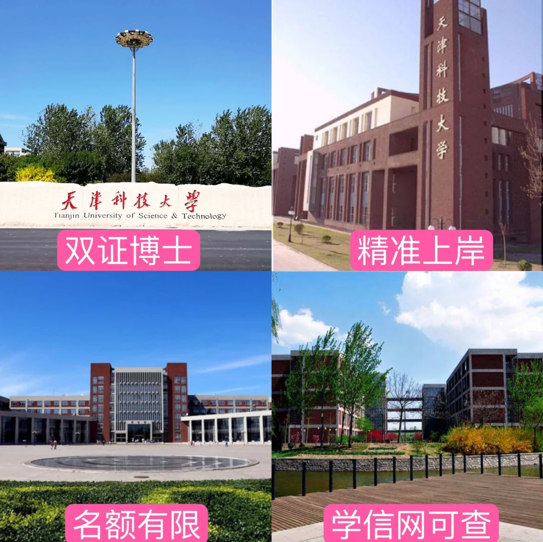 天津科技大学资讯(天津科技大学信息门户网站)下载