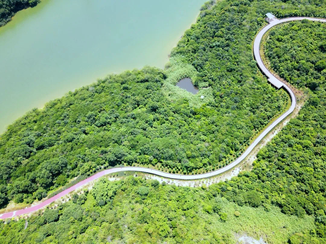 南山生态科技园资讯网(南山生态科技园属于哪个街道)下载